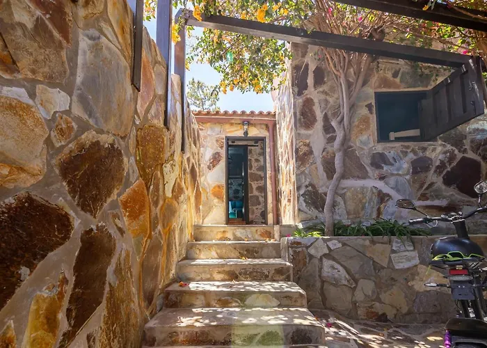 Casa Pinos *