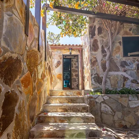 Casa Pinos *